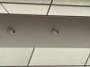 upload_2022-12-31_14-49-26.jpeg