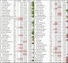Stand_WKsprint_heren_na_SLC.jpg